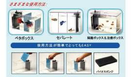 2LDK ベタボックス